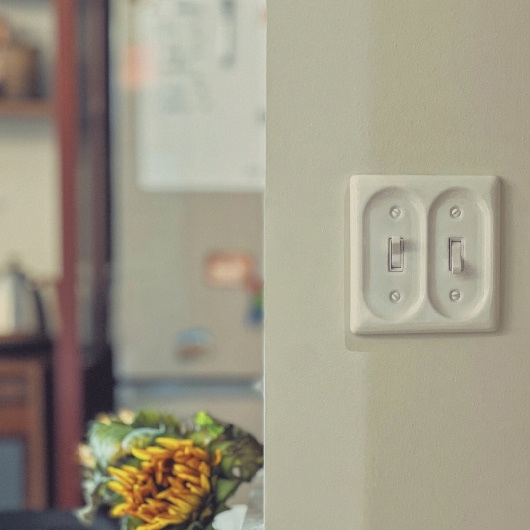 Porcelain Panel Toggle Wall Switches for Home